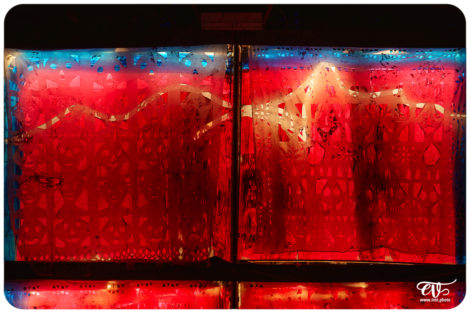 TMTPHOTO LA TORTUE DE GAUGUIN 009